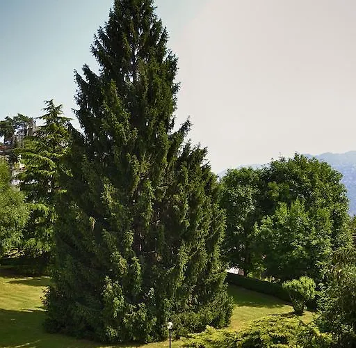 Chic And Freak דירה