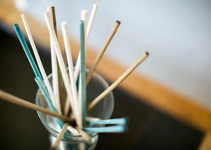 Chic And Freak * קומו